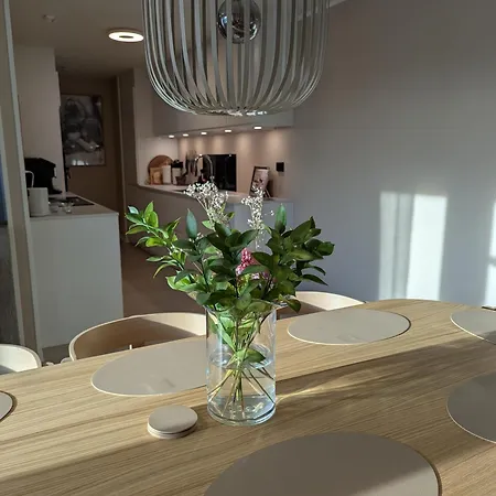 Apartment Spacious Modern 3br, Terrace, Aurora & Midnight Sun, Pets Allowed, Free Parking, Close To Slopes, Snow Dome, Bus Stop *