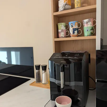 Apartment Spacious Modern 3br, Terrace, Aurora & Midnight Sun, Pets Allowed, Free Parking, Close To Slopes, Snow Dome, Bus Stop